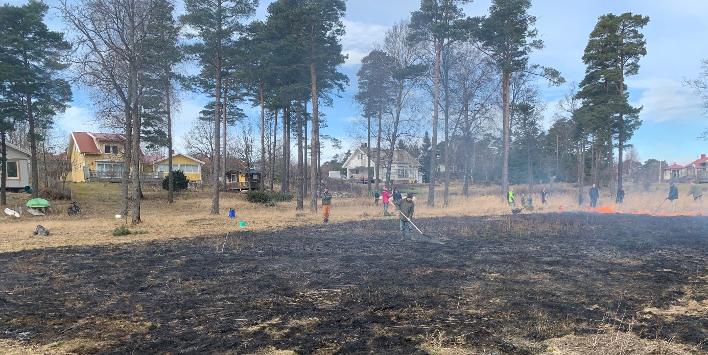 Raftö Södra Ängen bränning av marken