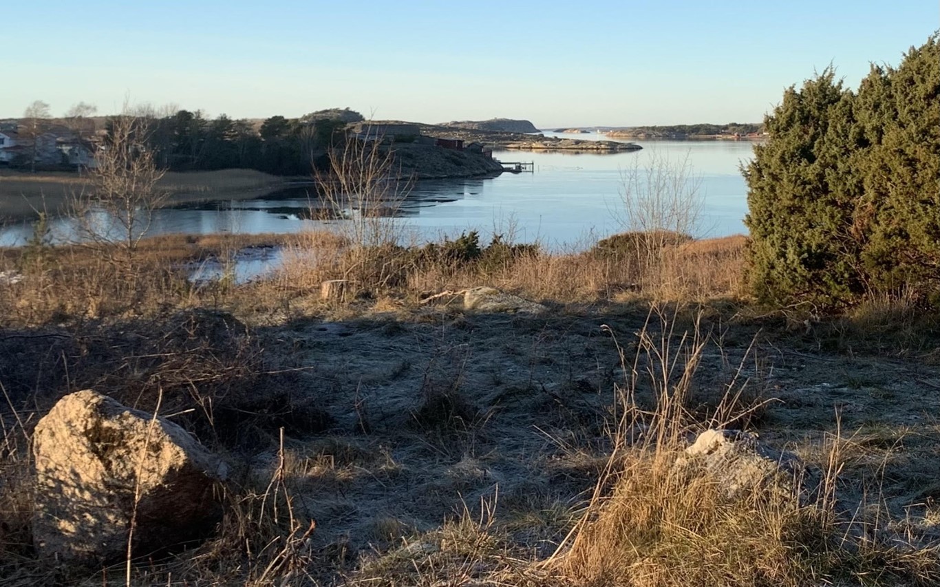 Domarring vid Raftö södra ängen