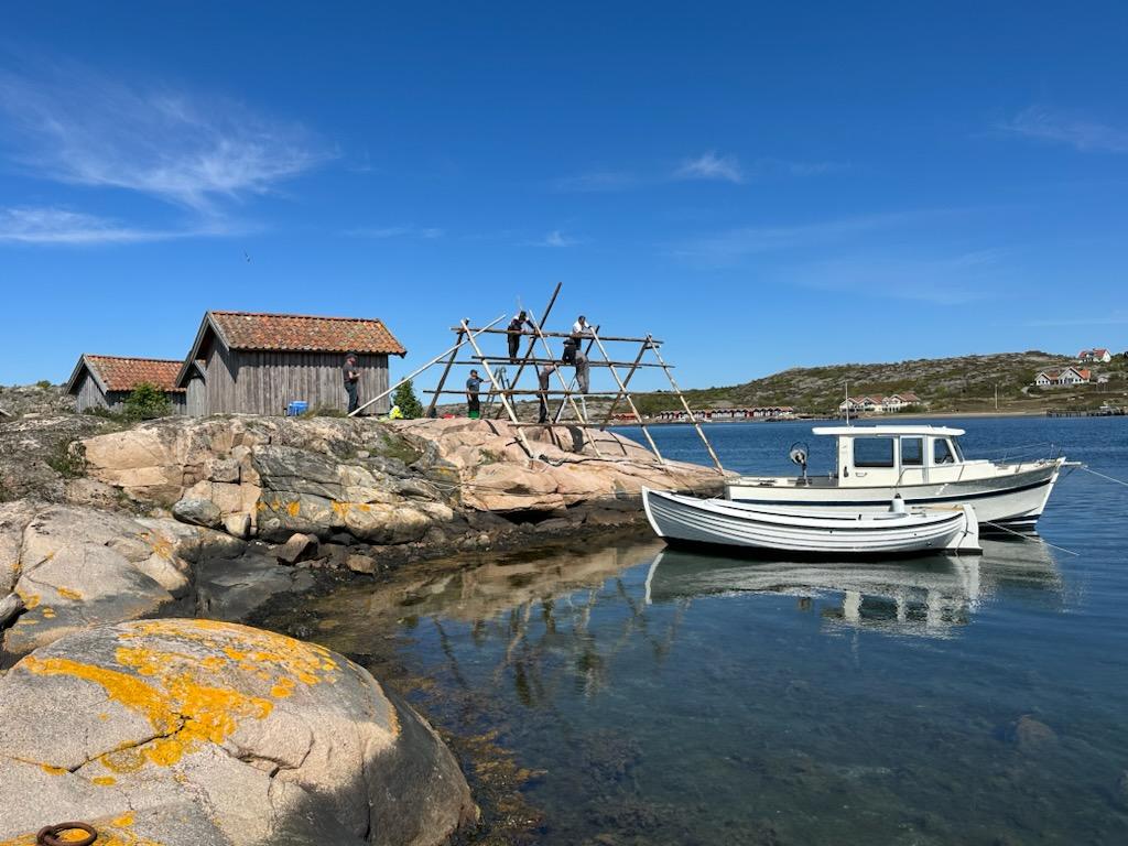 Vadbocken i Grönemad