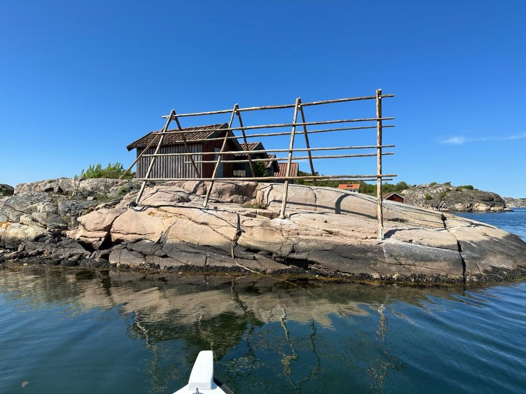 Vadbocken i Grönemad