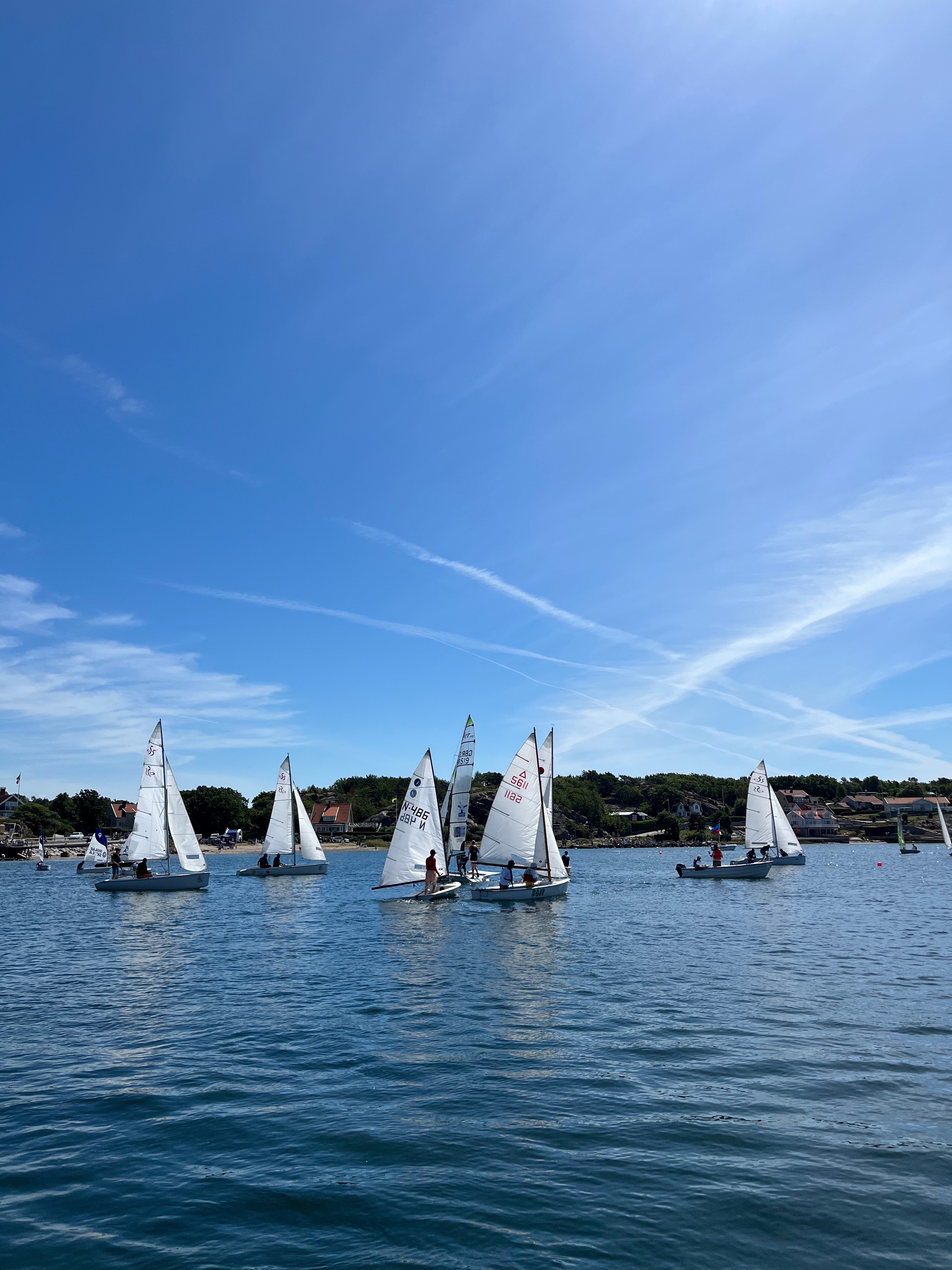 Flera segelbåtar på havet