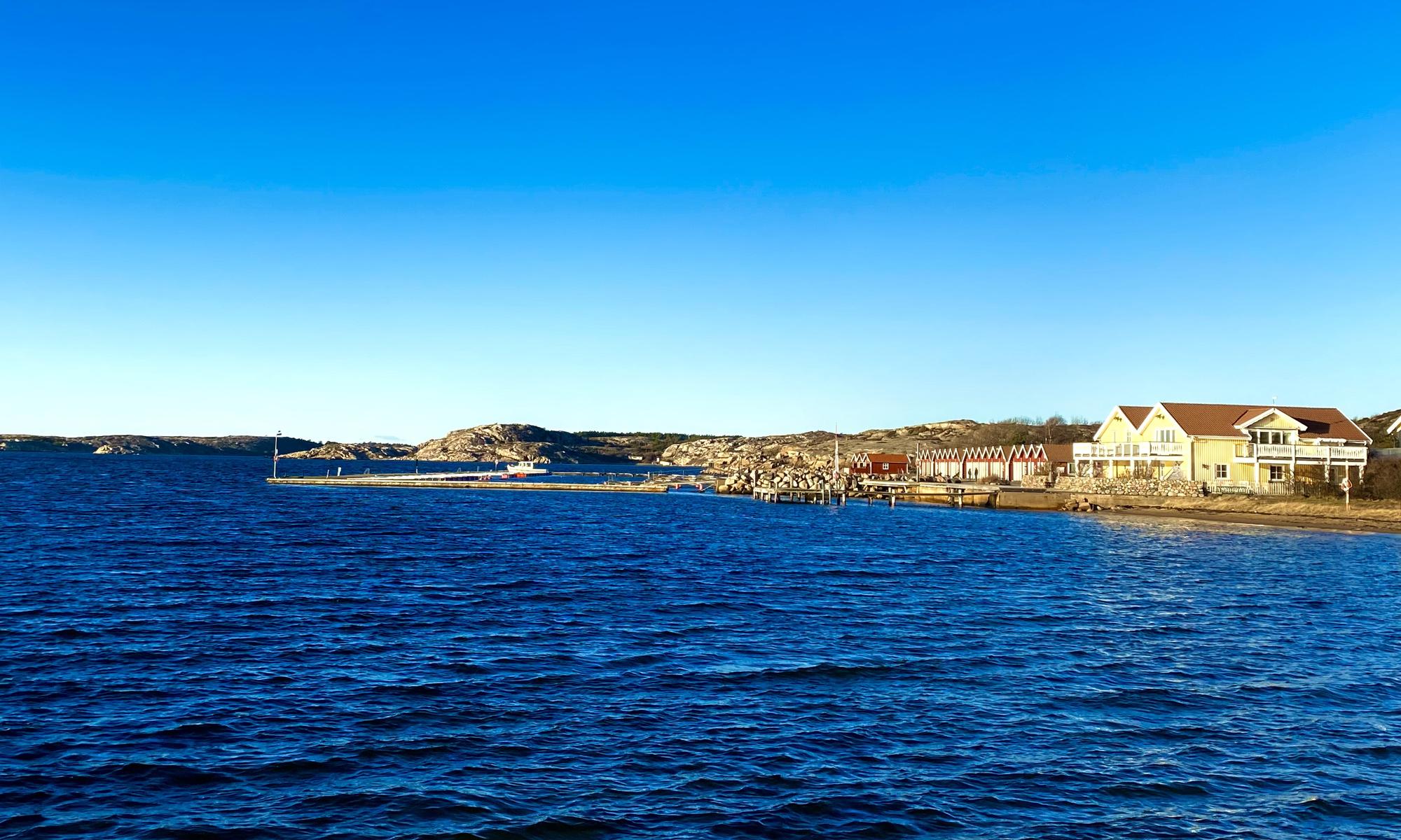 Grönemad