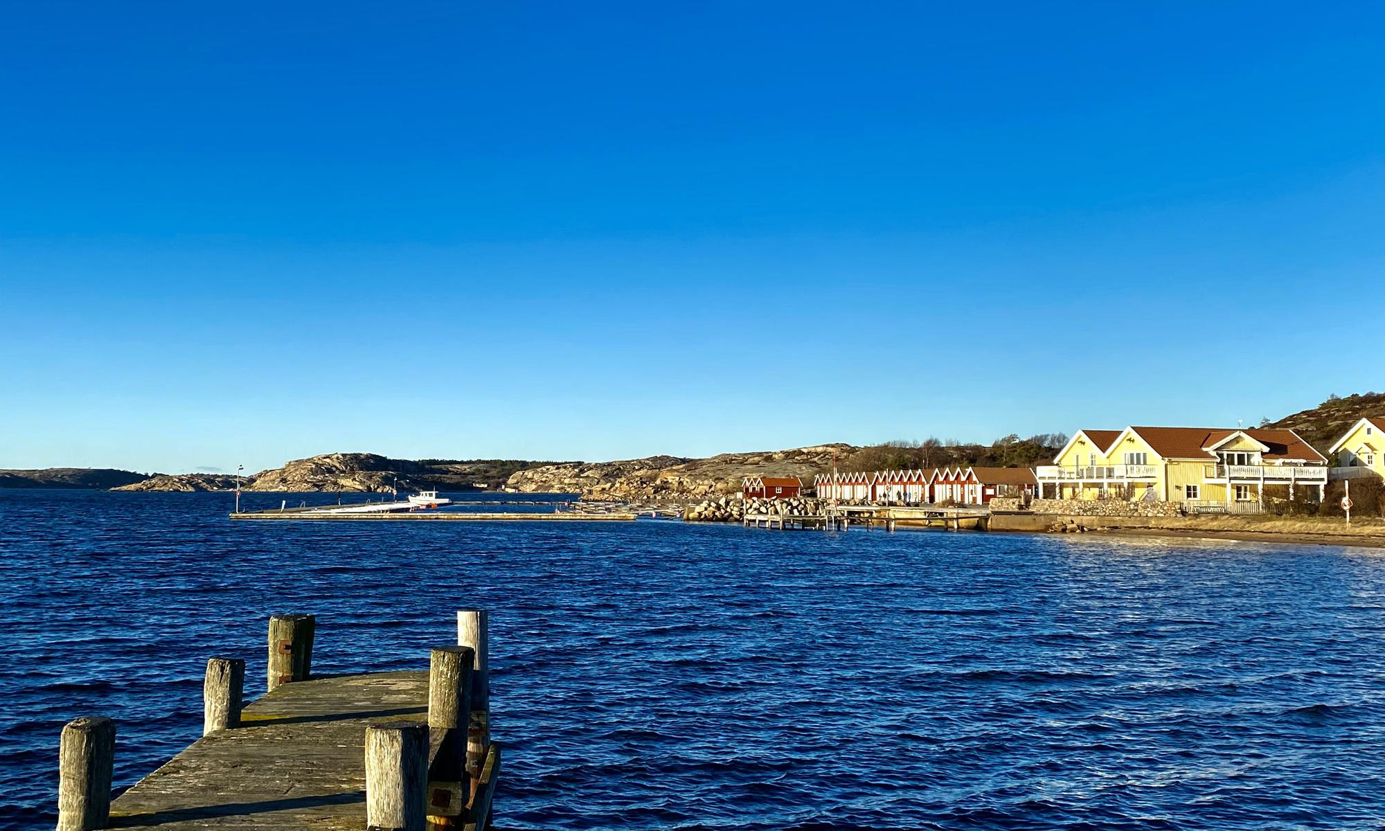 Grönemad