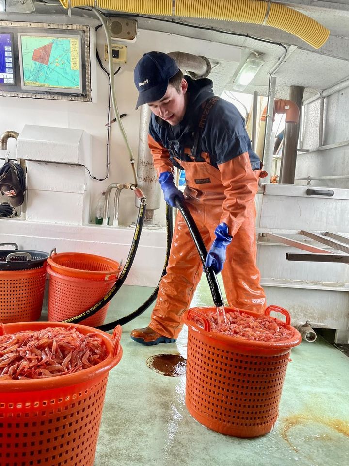 Leon Lek spolar räkor på sin fiskebåt