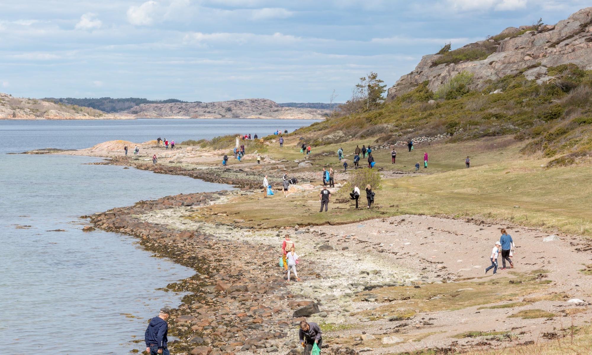 Människor strandstädar på Veddö Naturreservat